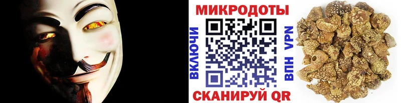 Псилоцибиновые грибы GOLDEN TEACHER  Стародуб 